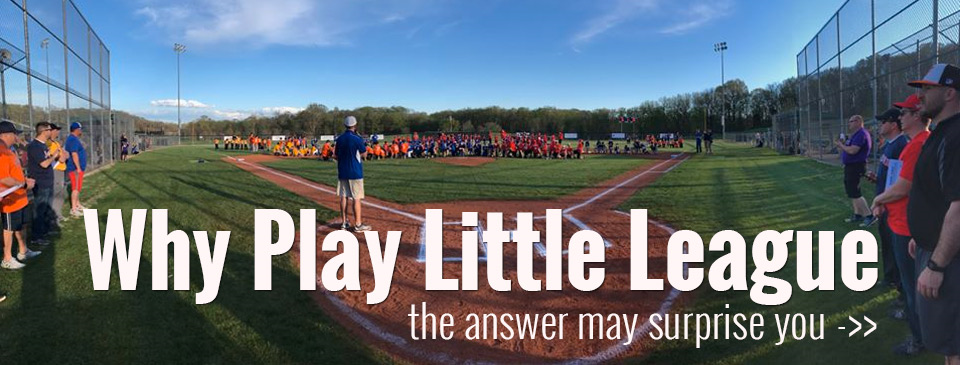 Why Play Little League
